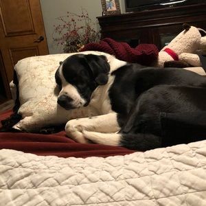 Meet your Posher, Coby